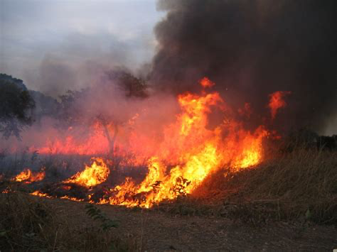 Maniema : 50 maisons incendiées par un feu de brousse à Kabambare